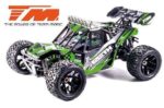 Desert Truck Team Magic 6SETH 1:8, brushless, 100km/h, Green - Image 2