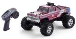 Monster Truck FMS F100 1:10, brushed, 40km/h, Colorful